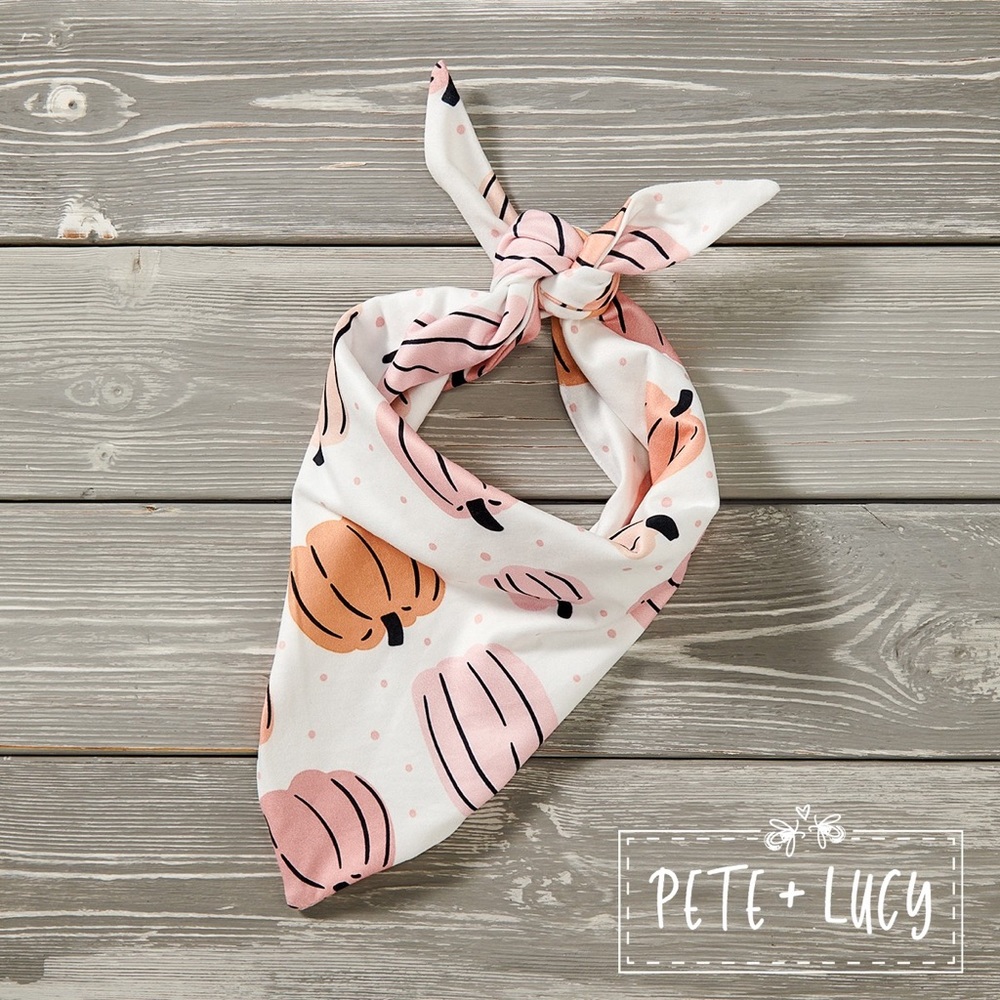 Denim Pumpkin: Doggy Bandana